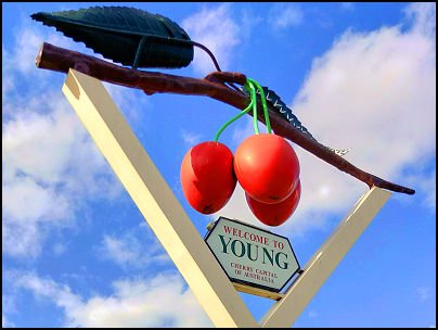 "Welcome to Young - Cherry Capital of Australia" sign