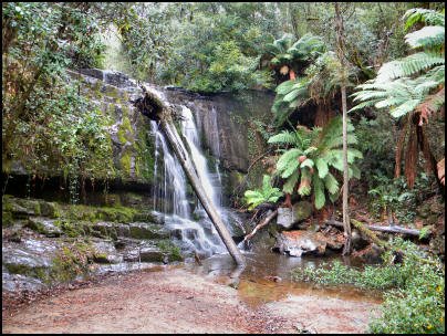 Pipers-River-Wine-Region-Tasmania-Watt-Wines-Thumbnail