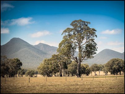 Pyrenees-Wine-Region-VIC-Watt-Wines-Thumbnail