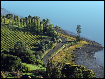 Tamar-Valley-Wine-Region-Tasmania-Watt-Wines-Thumbnail