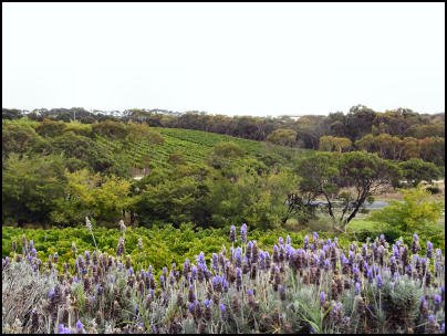 Watt-Wines-Mount-Benson-Wine-Region-Thumbnail