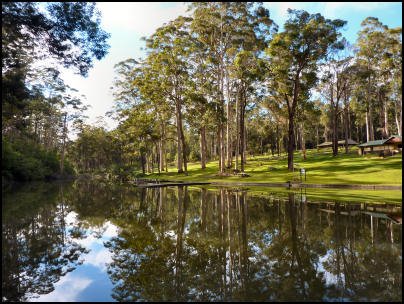 Watt-Wines-Pemberton-Wine-Region-Thumbnail