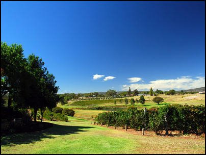 Watt-Wines-Perth-Hills-Wine-Region-Thumbnail